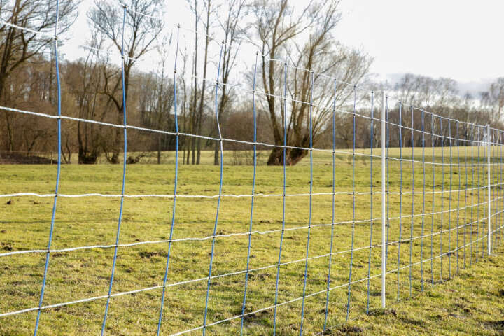 AKO Wildzaun TitanNet 145 cm